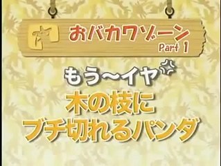 Funny Panda Goes Mad After Falling