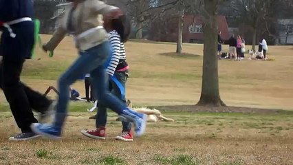 Mira lo que hace este perro para quedarse más tiempo en el parque