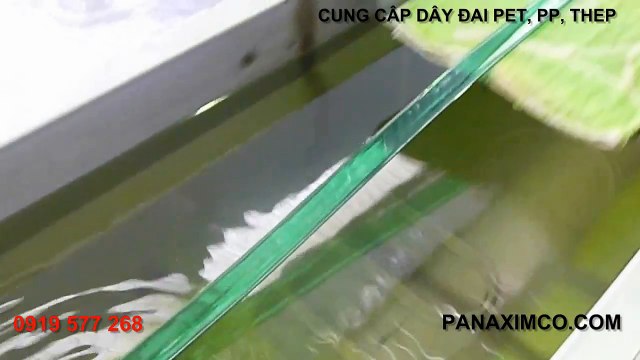Cung cấp dây đai PET, dây đai PP, dây đai nhựa PP