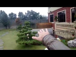 Million Dollar Taiwan House