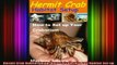 DOWNLOAD FREE Ebooks  Hermit Crab Habitat Setup Hermit Crab care and Habitat Setup Full Free