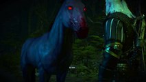 The Witcher 3: Wild Hunt EVIL HORSE