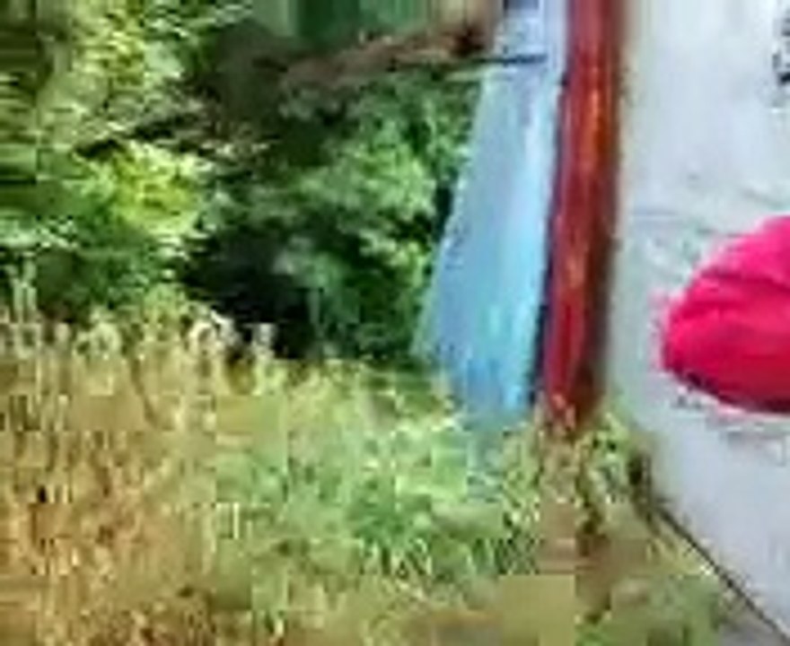 Film d'horreur