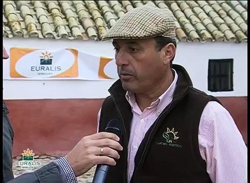XII Campeonato Galgos Euralis Programa 1 Cuartos de Final