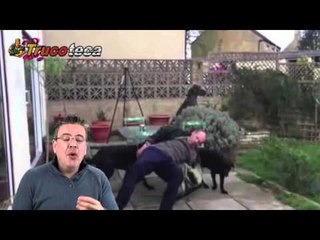 Ruso denuncia a Bethesda por la adiccion provocada por Fallout 4