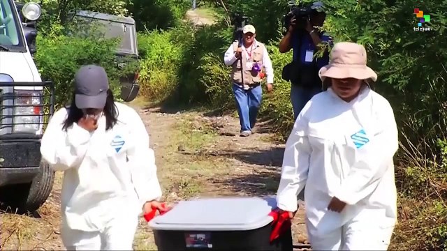 Mexico: Experts Denounce Gov't. Attempts to Block Ayoztinapa Case