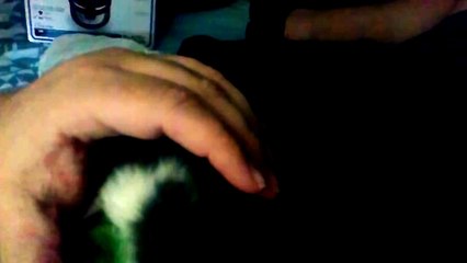 Un grand gars sauve une petite chatonne et devient sa 'Maman' de substitution!