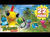 Miss Spider: Taste-Bugs/Top O'Big Tree - Ep.16