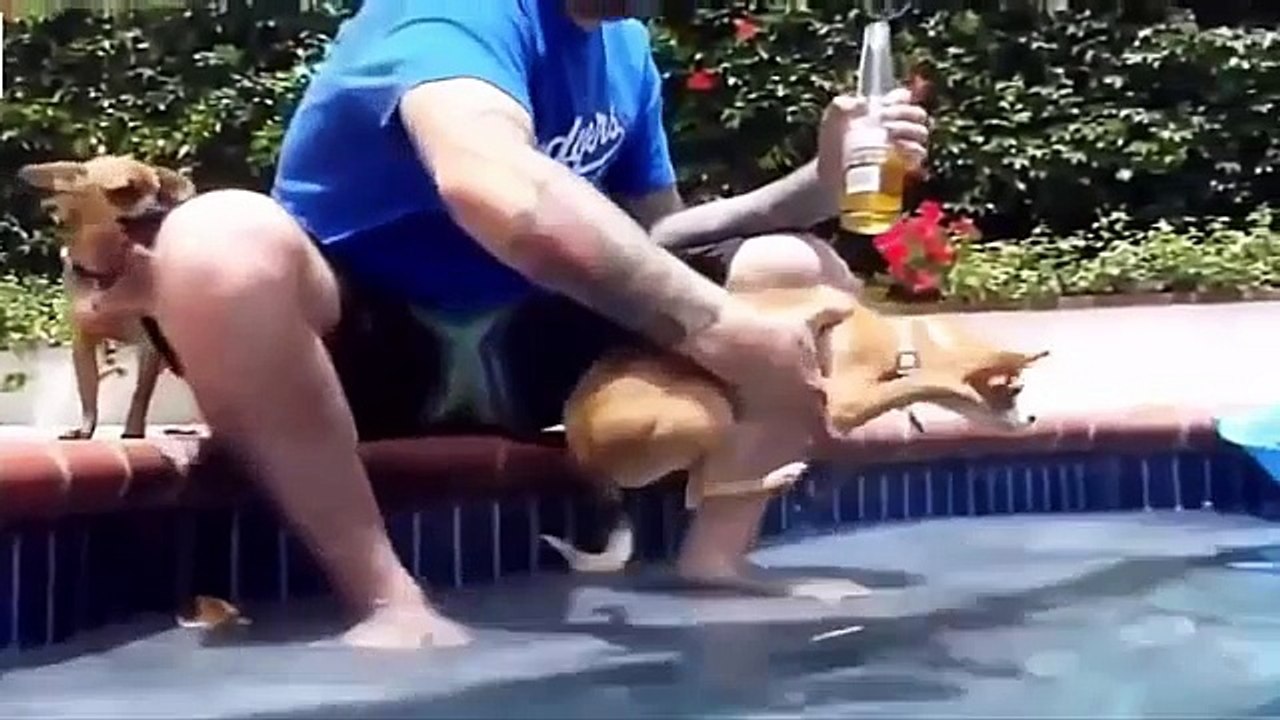Ultimate 10 Minutes Dogs Fail Compilation