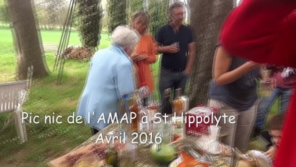 Pic-nic de l'AMAP