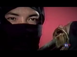 Ninja Elite Forces: The True Story of Shinobi 🥷