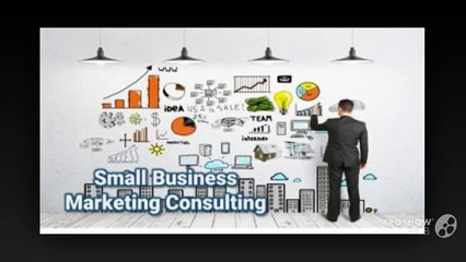 Things to Consider When Choosing Small Business Consultants