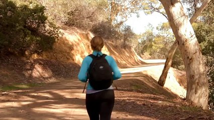 Megbro: Puppies & Boyfriends