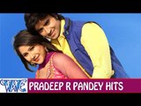 Pradeep R Pandey ''Chintu'' hits - Video JukeBOX - Bhojpuri Hot Songs 2015 new