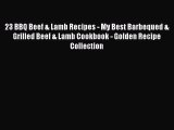 Download 23 BBQ Beef & Lamb Recipes - My Best Barbequed & Grilled Beef & Lamb Cookbook - Golden