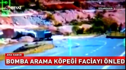 Beyaz Tv Ana Haber 25.04.2016