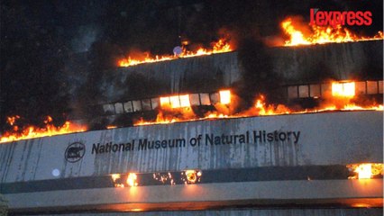 Inde: un incendie ravage le muséum d'histoire naturelle de Delhi