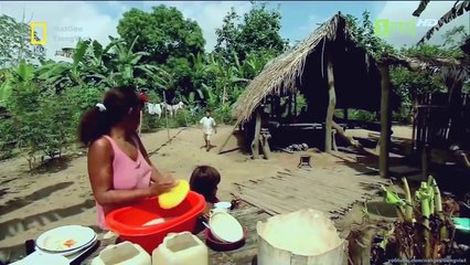 ♦ monde animal découverte Amazon - faune