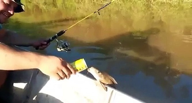 Un poisson vient réclamer de la bière à des pecheurs