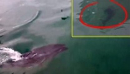 Önce yuttu, sonra tükürdü