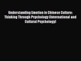 [Read book] Understanding Emotion in Chinese Culture: Thinking Through Psychology (International