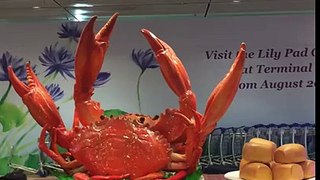 Singapore Changi T1 arrival chilli crab