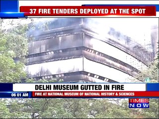 Major Fire at Delhi's Natural History Museum