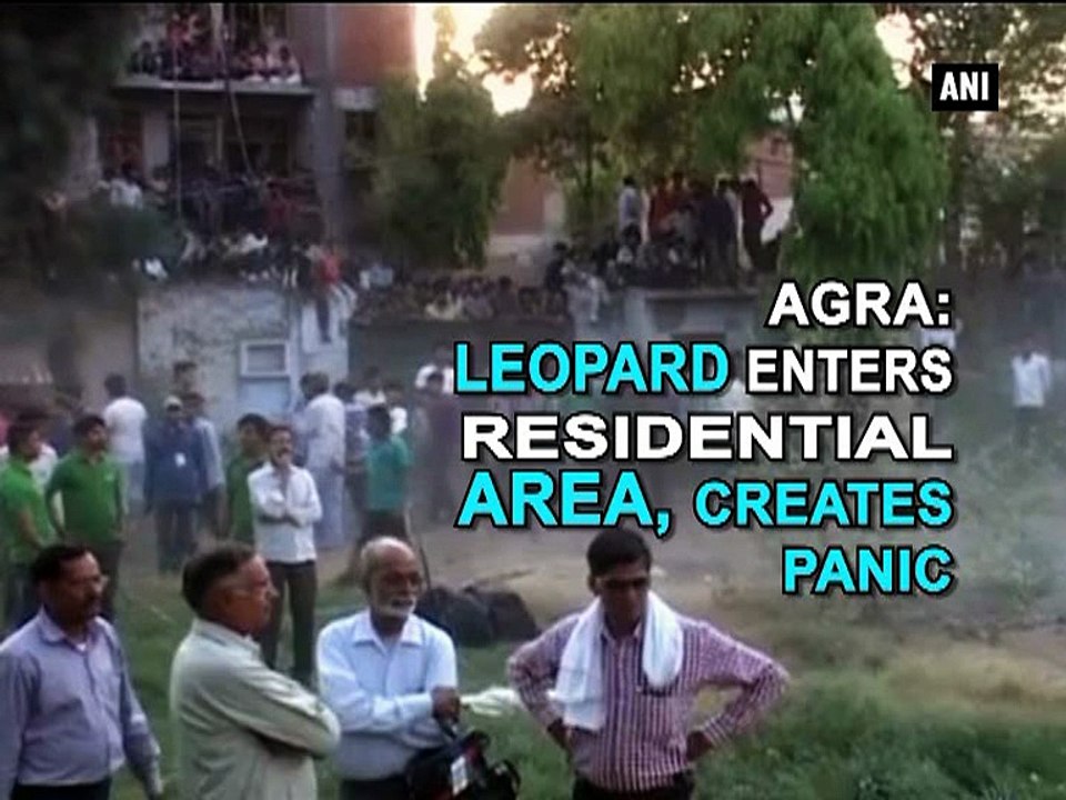 Agra Leopard enters residential area, creates panic