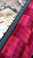 Avvistato mostro nel Tamigi