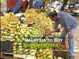 Karnataka to export 10,000 tonnes of mangoes