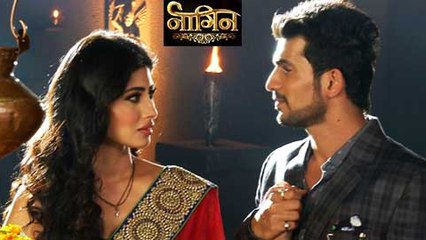 (Video) Happy Ending For Shivanya & Ritik's Love Story| Naagin | Colors