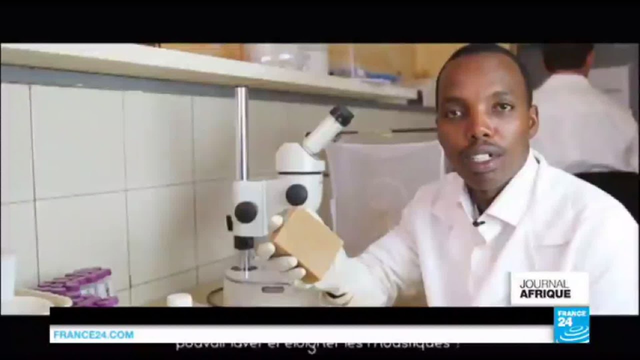 Lutte contre le Paludisme en Afrique - Le savon "Faso Soap", un répulsif à moindre coût