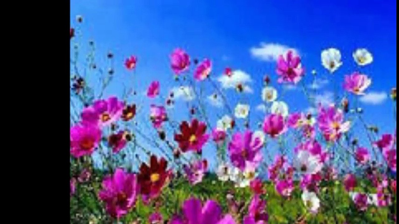 "ΟΤΕ Η ΑΜΑΡΤΩΛΟΣ" ΧΟΡΩΔΙΑ ΠΕΙΡΑΙΩΣ " Ω ΤΗΣ ΙΟΥΔΑ ΑΘΛΙΟΤΗΤΟΣ" ΤΑΛΙΑΔΩΡΟΣ ΑΙΝΟΙ ΟΡΘΡΟΥ ΜΕΓΑΛΗΣ ΤΕΤΑΡΤΗΣ  ΗΧΟΣ Α΄