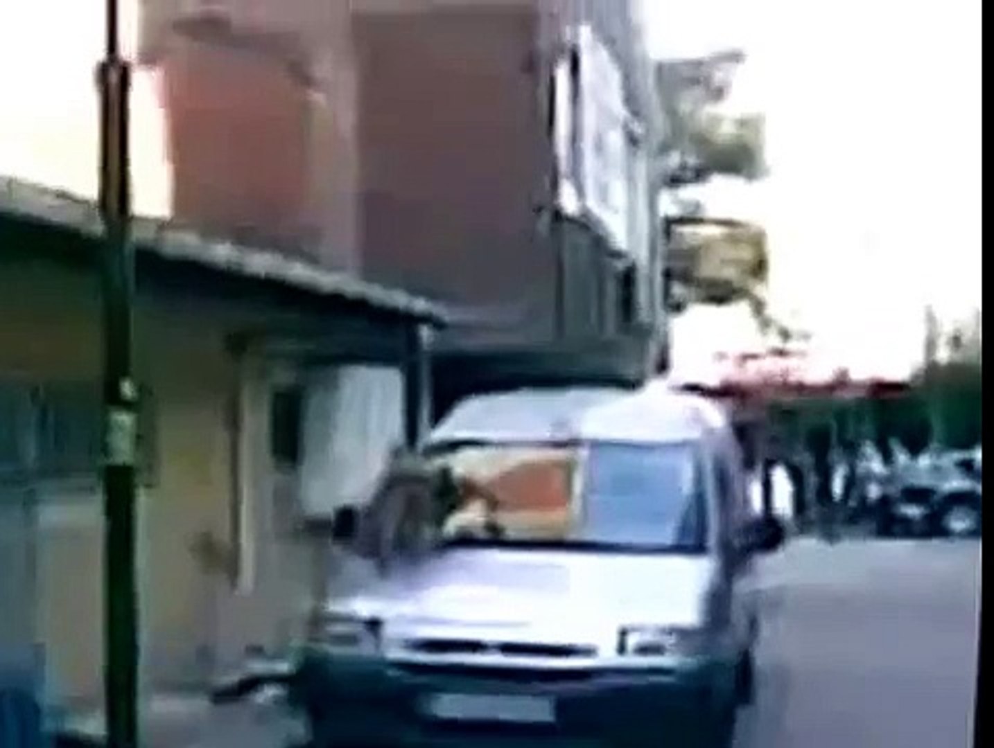 Брачные игры кошек, груповуха