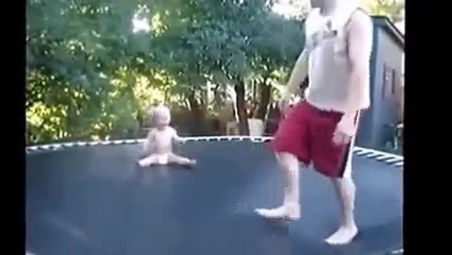 Воспитание барсуков и другие приколы с животными