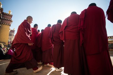 Le bouddhisme selon Matthieu Ricard #2 : les 4 nobles vérités