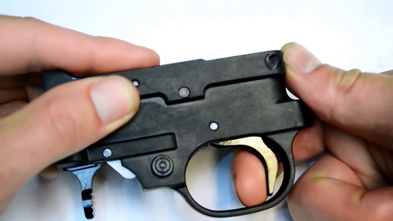 Viewer Request: 10/22 Race Rifle Build