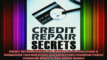 READ book  CREDIT REPAIR SECRETS The 10 Ways To Fix Your Credit  Completely Turn Bad Credit Into Full EBook