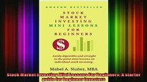 READ book  Stock Market Investing Mini Lessons For Beginners A starter guide for beginner investors Full EBook