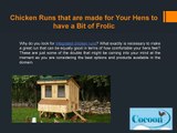 Chicken Runs that are Made for Your Hens to Have a Bit of Frolic