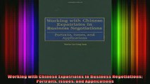 READ book  Working with Chinese Expatriates in Business Negotiations Portraits Issues and Full EBook