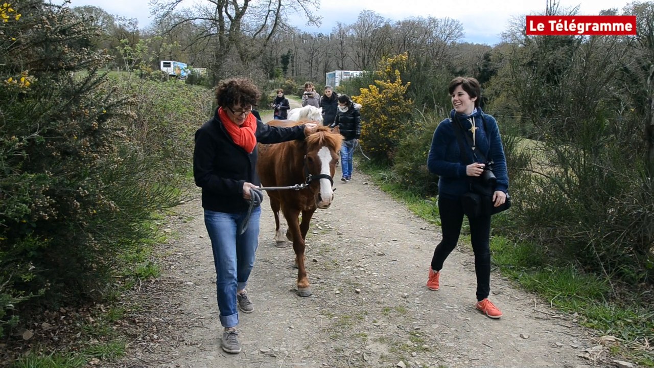 Paimpol. De futures infirmières se forment à l'équithérapie