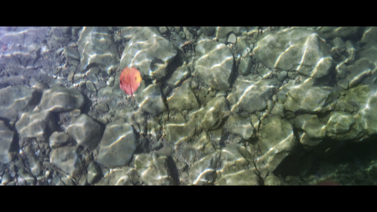 L’EAU (Short Film) - Trailer 4K SURROUND