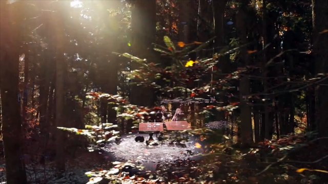 NOUS SOMMES REPUS MAIS PAS REPENTIS (Déjeuner chez Wittgenstein) I Thomas Bernhard / Séverine Chavrier I Odéon-Berthier