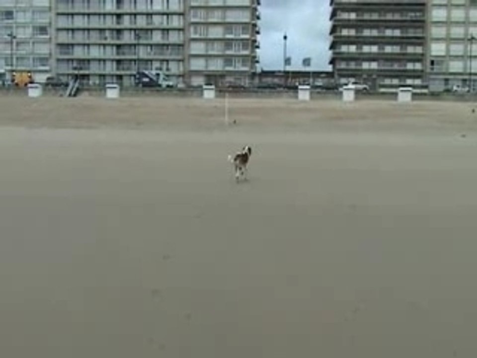 Bilbo à la plage bis