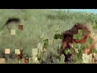 Barack Obama President one (67)