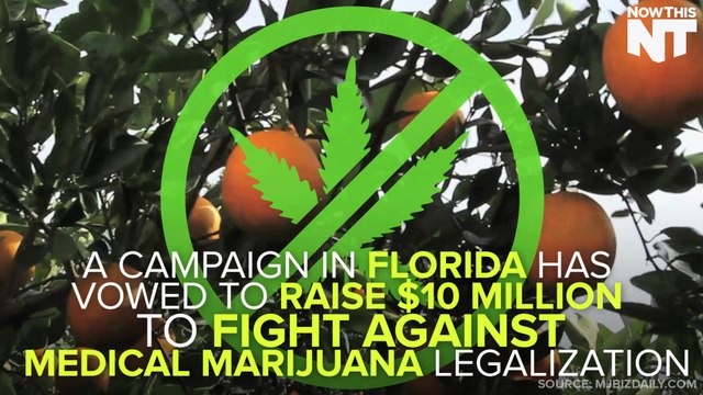 This Campaign's Raising $10 Million To Fight Marijuana Legalization In Florida