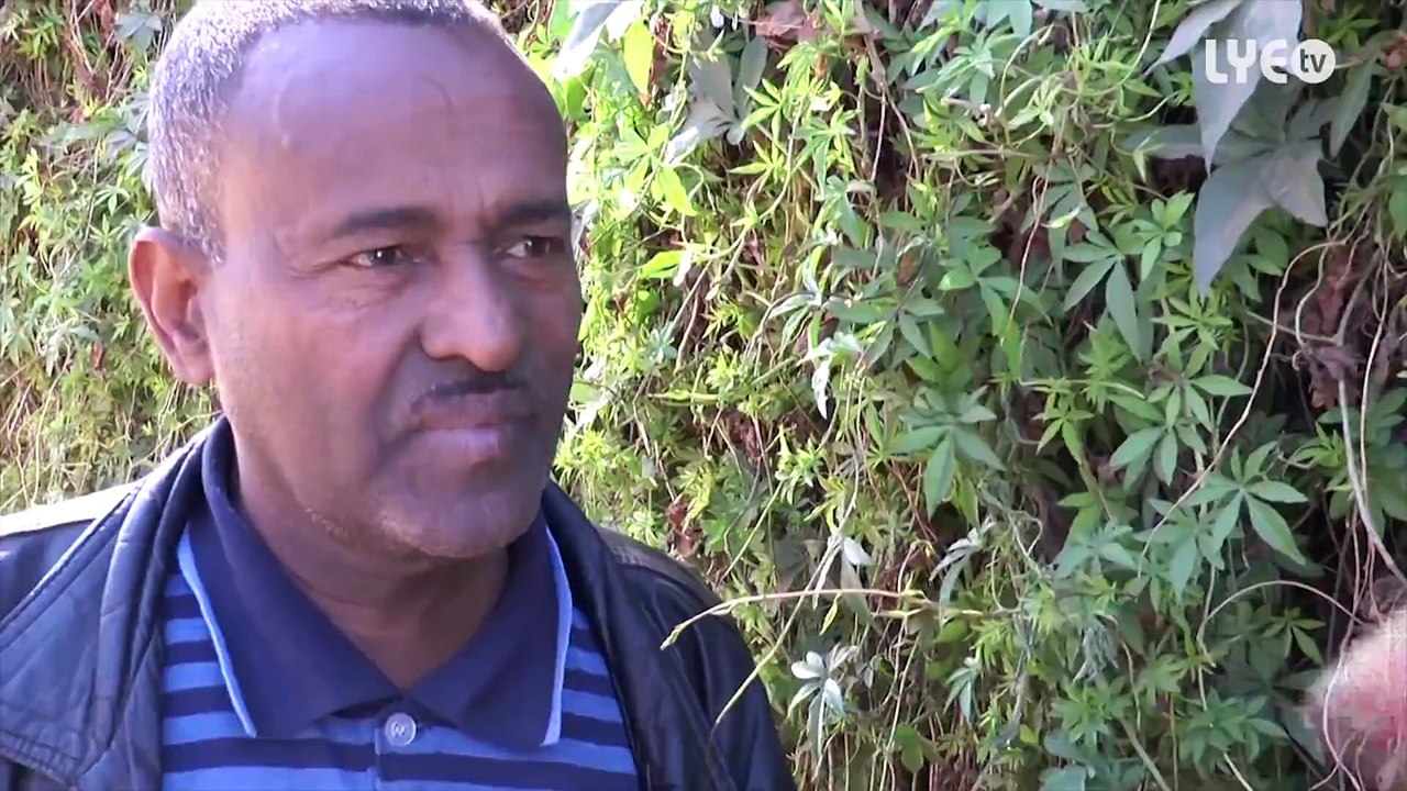 Eritrea - Kidane Ghirmay - Mebtsea _ መብጸዓ - New Eritrean Comedy 2016