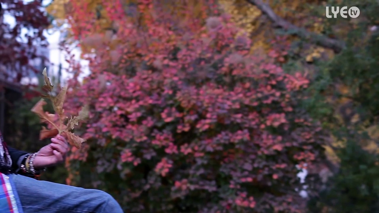 Eritrea - Robel Michael - Sdet _ ስደት - New Eritrean Music 2016