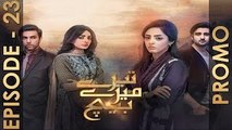 Tere Mere Beech Episode 23 Promo Hum TV Drama 24 April 2016